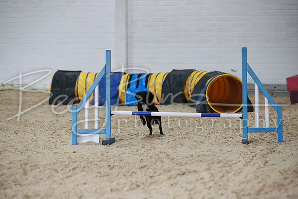 TBP_0237