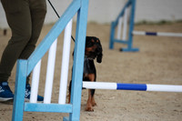 RBS_2774