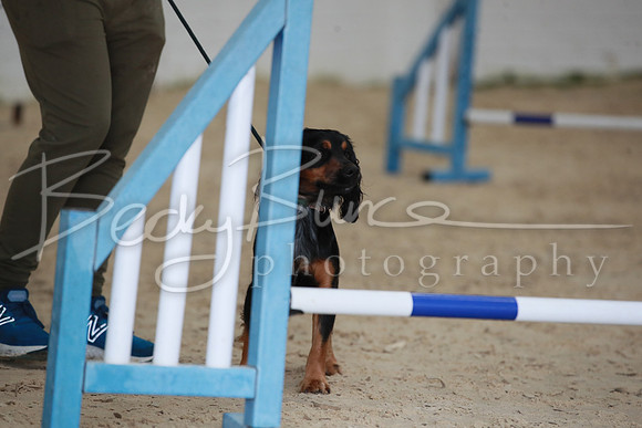 RBS_2774