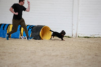 RBS_3941