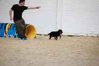 RBS_3943