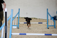 RBS_3955