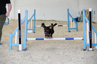 RBS_3956