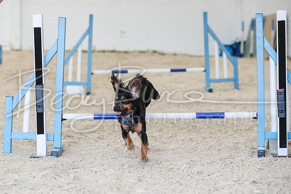 RBS_3957