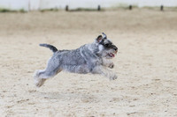RBS_5650