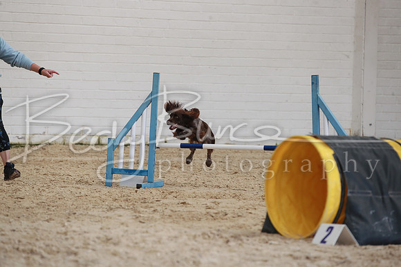 RBS_3395
