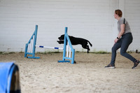 RBS_4335