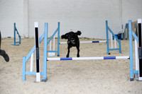 RBS_4356