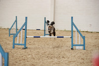 RBS_5892