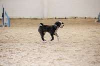 RBS_5896