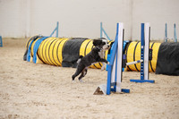 RBS_5897