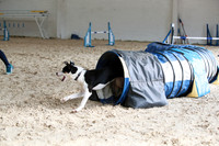 RBS_3779