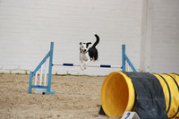RBS_3786
