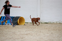 RBS_5423