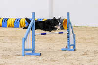 19-10 Fidos Steeplechase Sunday