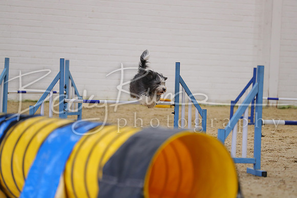 FA1_0458