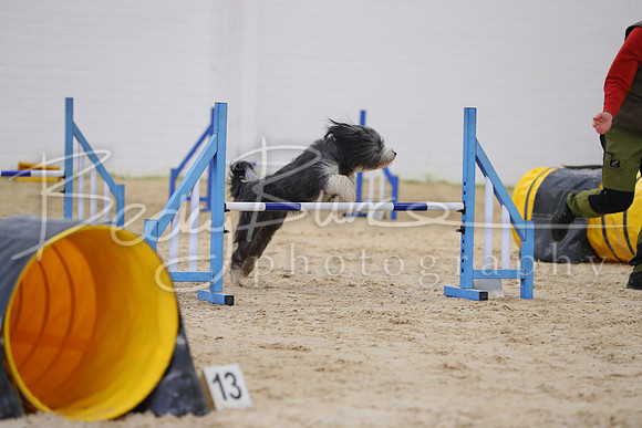 FA1_0459