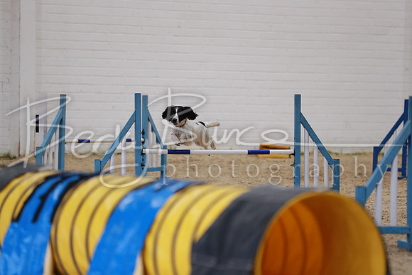 FA1_0548