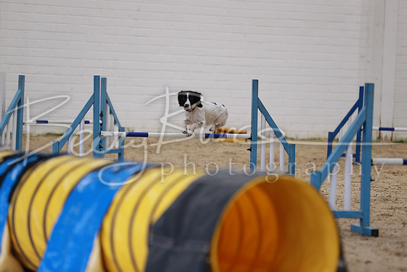 FA1_0550