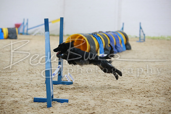BBP_3268