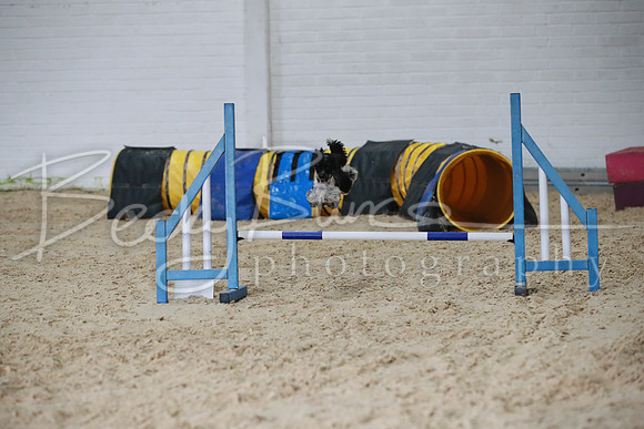 TBP_0296