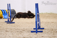 16-11 Fidos Steeplechase Sunday
