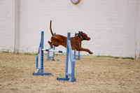 FA3_9582