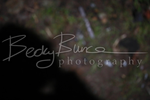 BBP_0637