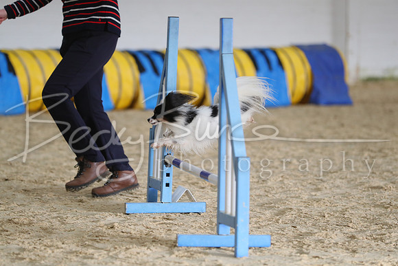 FA5_0242