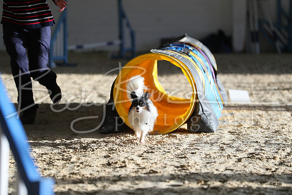 FA5_0248