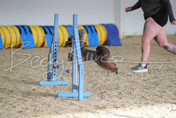 FA5_0261