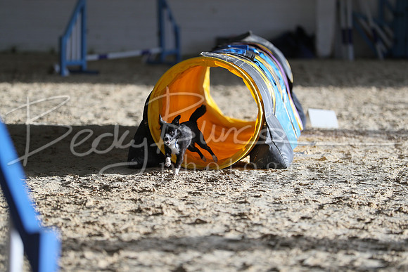 FA5_0337
