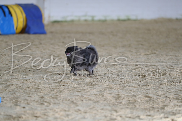 FA5_0351