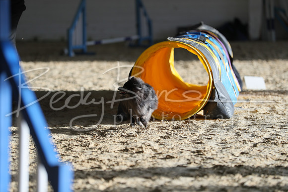 FA5_0361