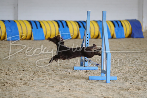 FA5_0376