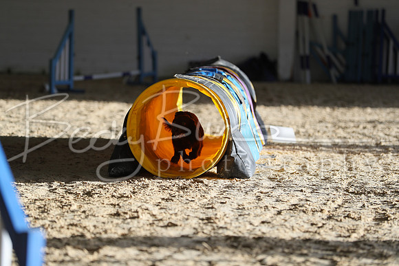 FA5_0379