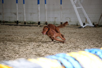 FA6_1286