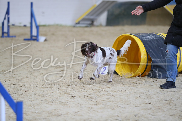 FA5_3838