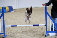 FA5_3839