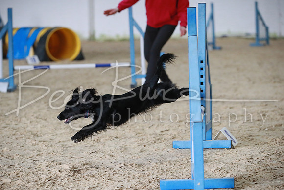 TBP_0244