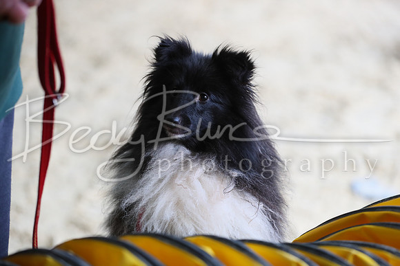 FI1_5126