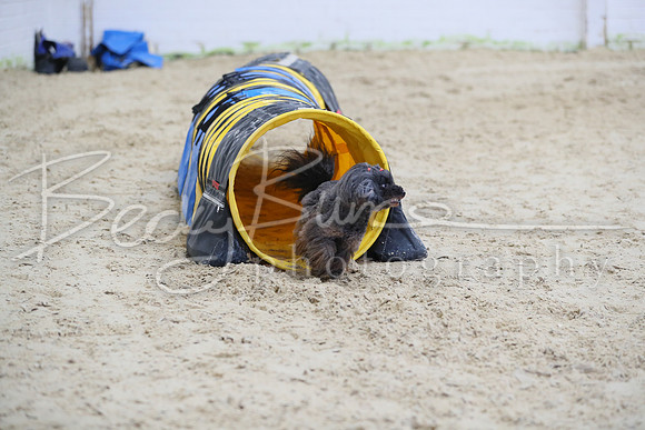 FI1_5177