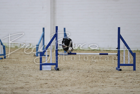 FI1_2013