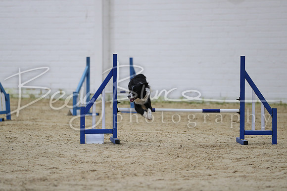 FI1_2014