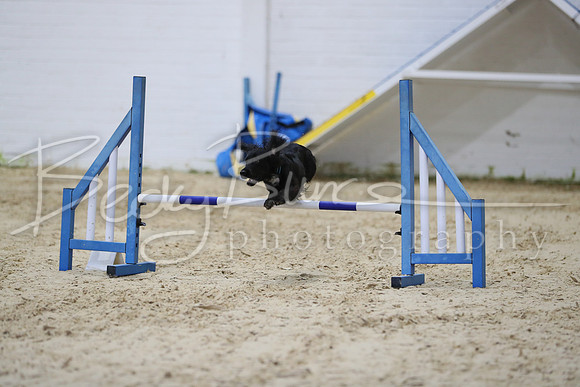 FI1_2199