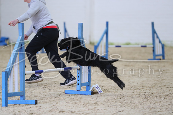 FI1_2554