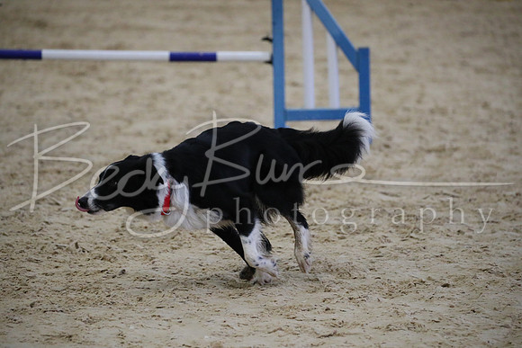 FI2_0354
