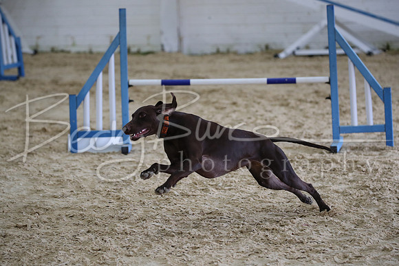 FI2_0862