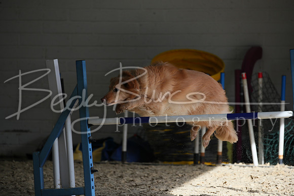 FI2_2394