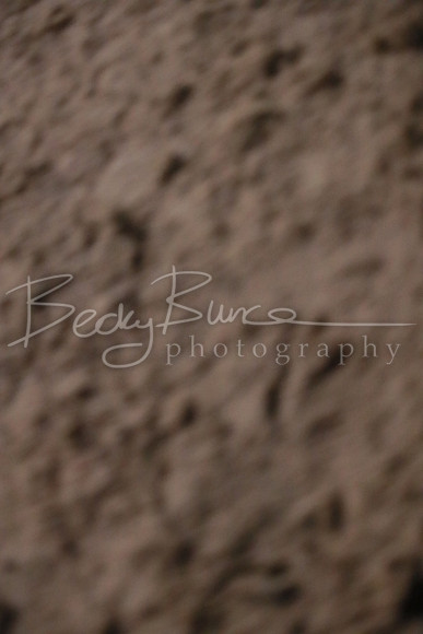BBP_5536
